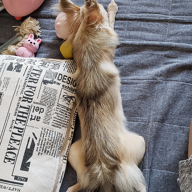 N+さんの実例写真