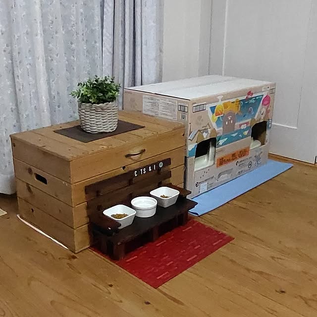 38catさんの部屋