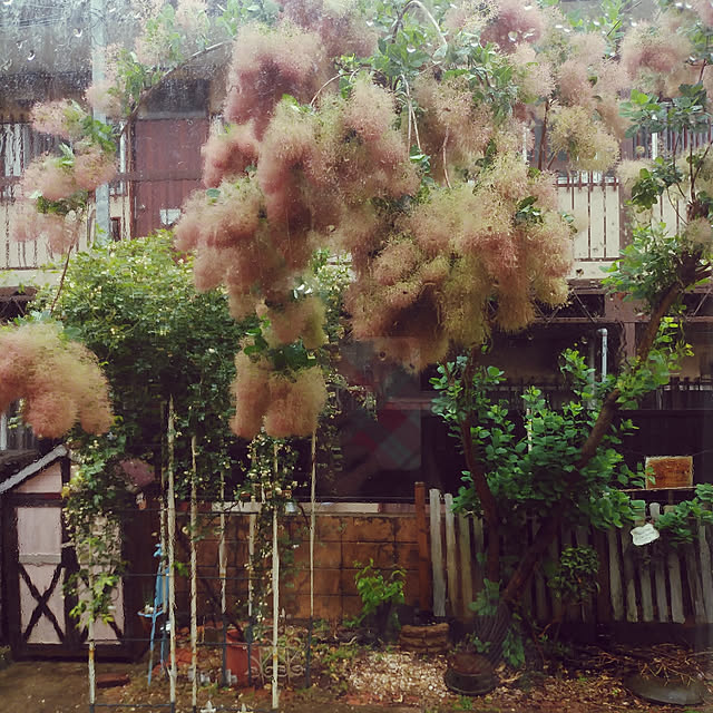 kao_0909さんの実例写真
