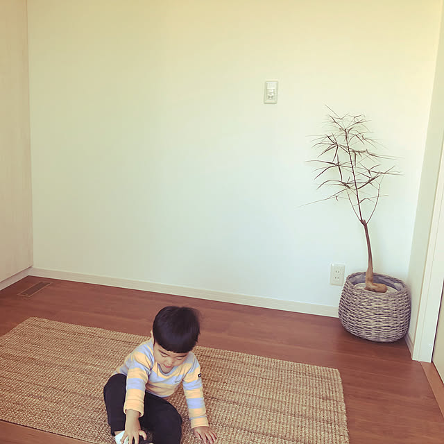 Anaさんの実例写真