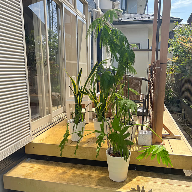 yukarimamaさんの部屋