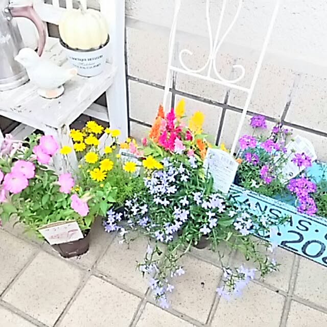 hiromin-kさんの実例写真