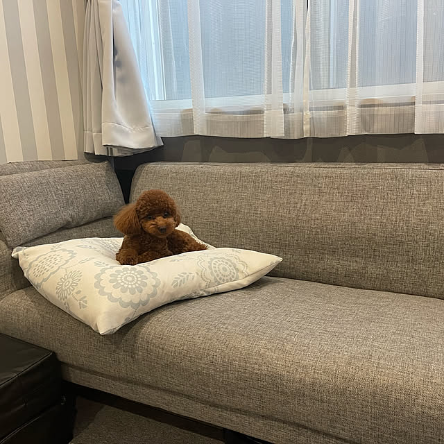 kaicocoさんの実例写真