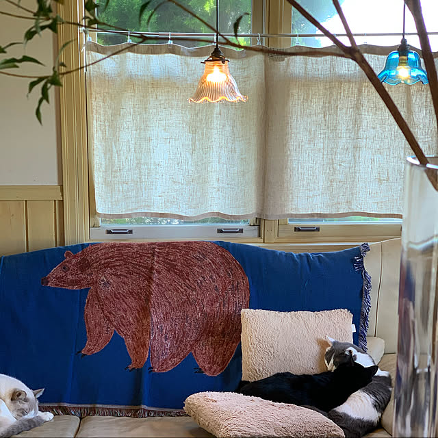 secco_caoさんの実例写真