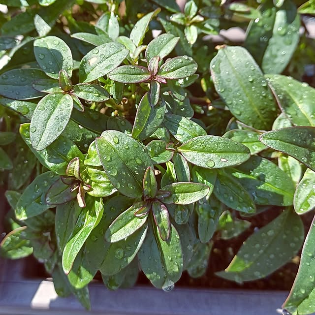 hiro.904さんの実例写真