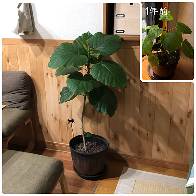CoffeeHouseさんの実例写真