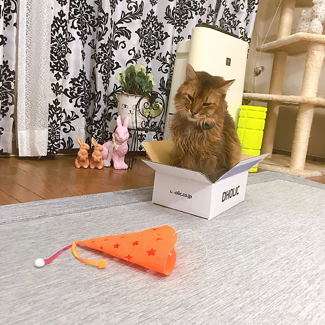 yukarinさんの実例写真