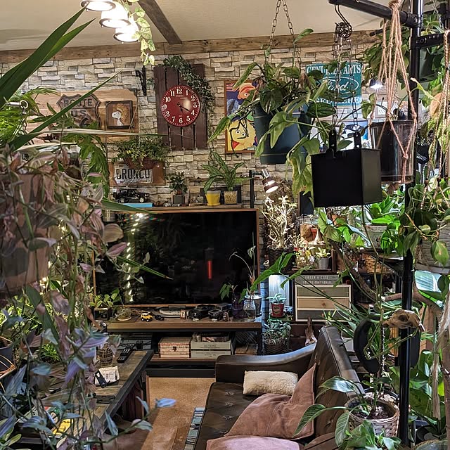 GINさんの部屋