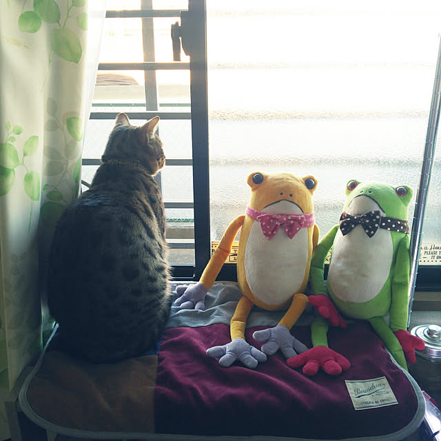 tenさんの実例写真