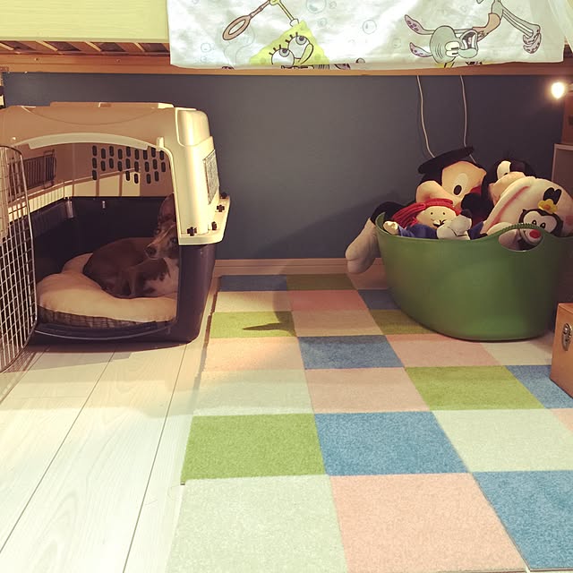 suzyさんの実例写真