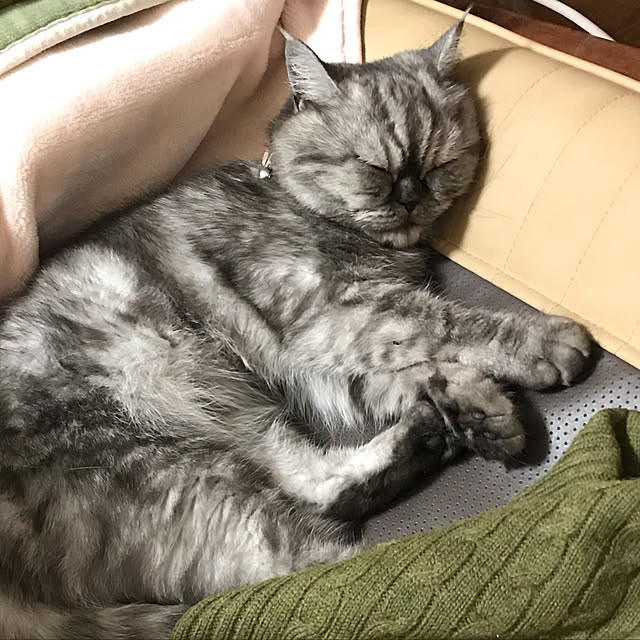 Marinさんの実例写真