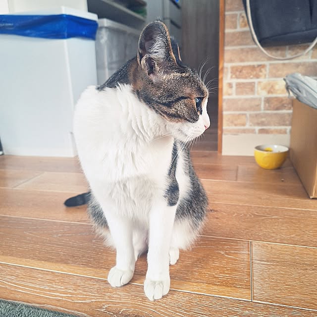 akimameさんの部屋