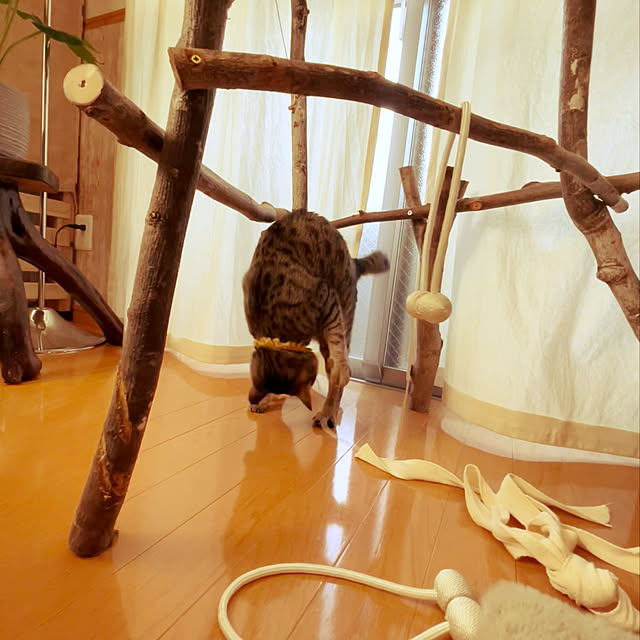 Mさんの実例写真