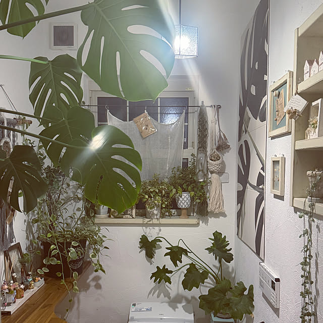 usakoさんの部屋