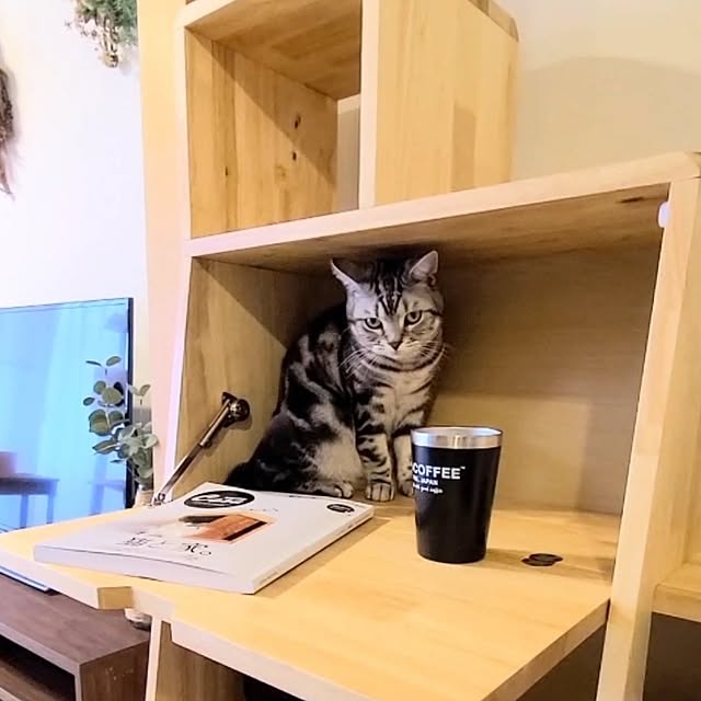 lovepeaceさんの部屋