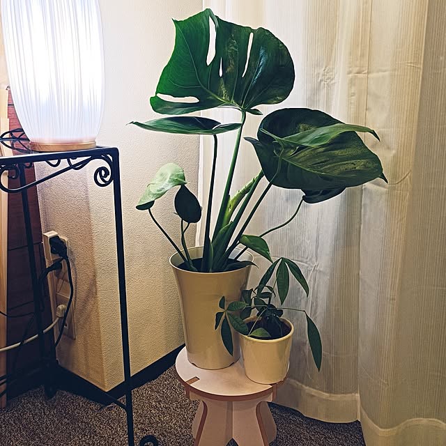 hisaさんの部屋