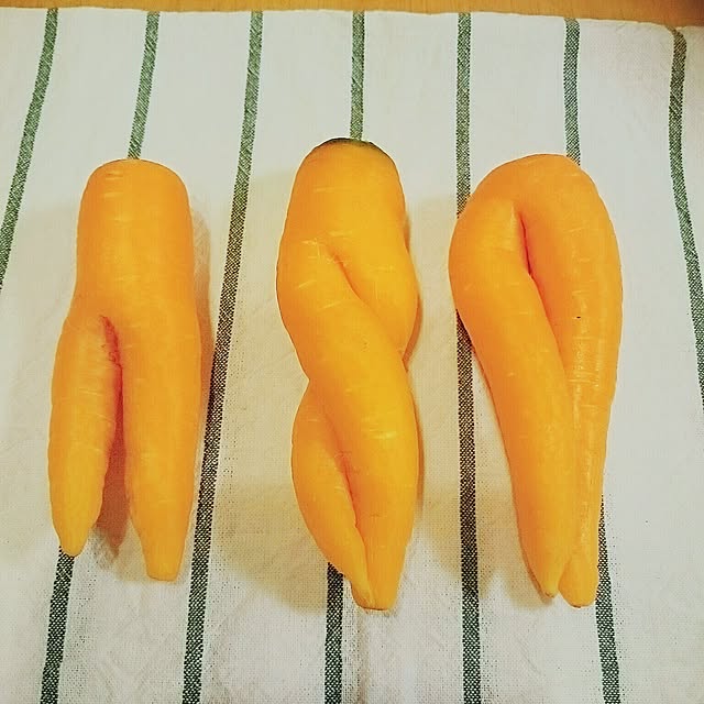 mofukoさんの実例写真