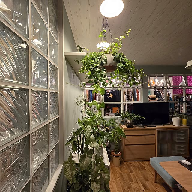nonbiri_house_さんの部屋