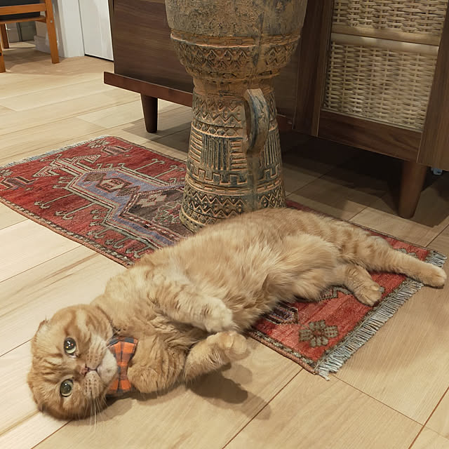 hm_myhomeさんの実例写真