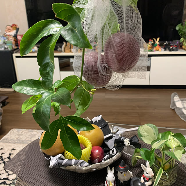 Aqettyさんの部屋