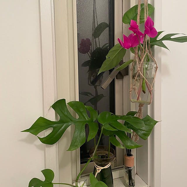 nattunさんの部屋