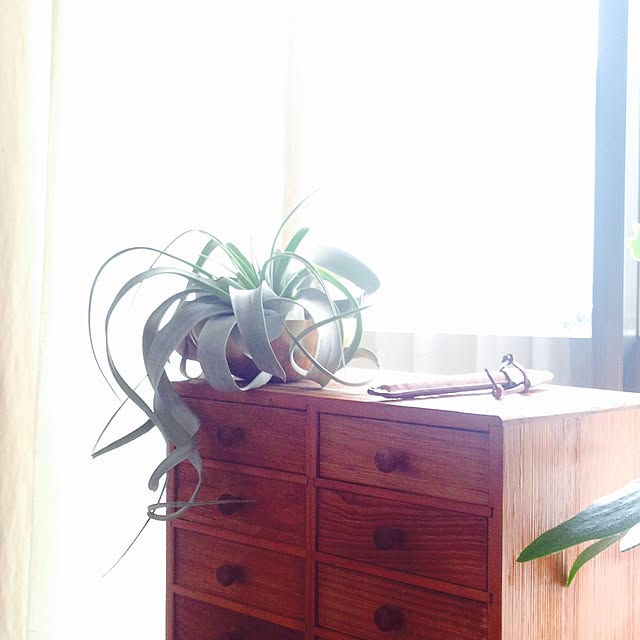 marucoさんの実例写真