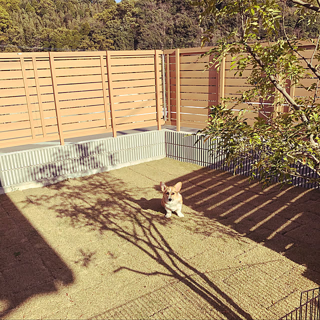 Sawaさんの実例写真