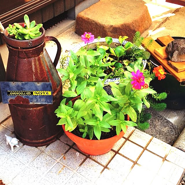 botanさんの実例写真