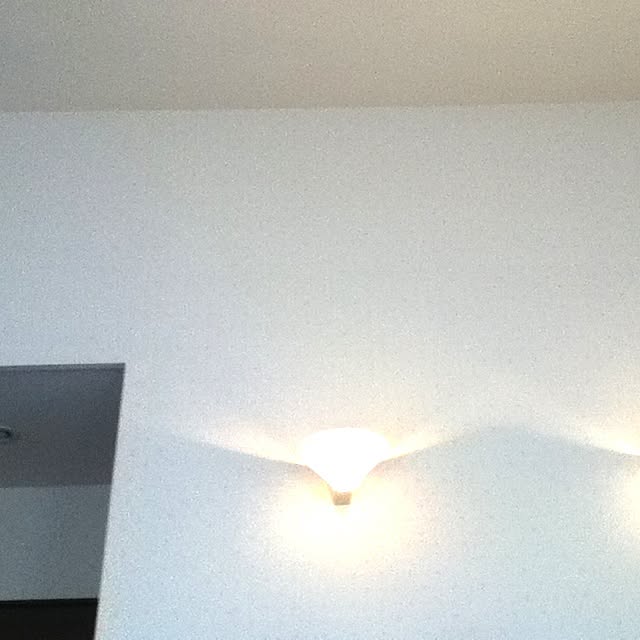 dextueruさんの実例写真