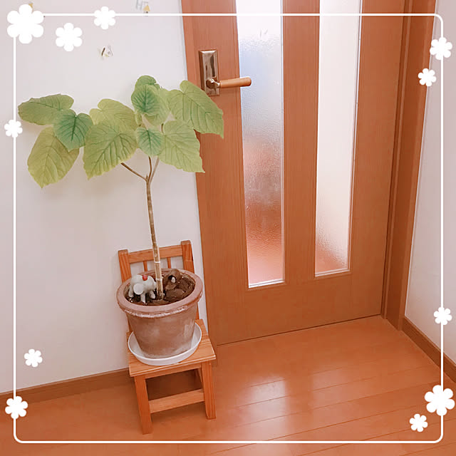 makkoさんの実例写真