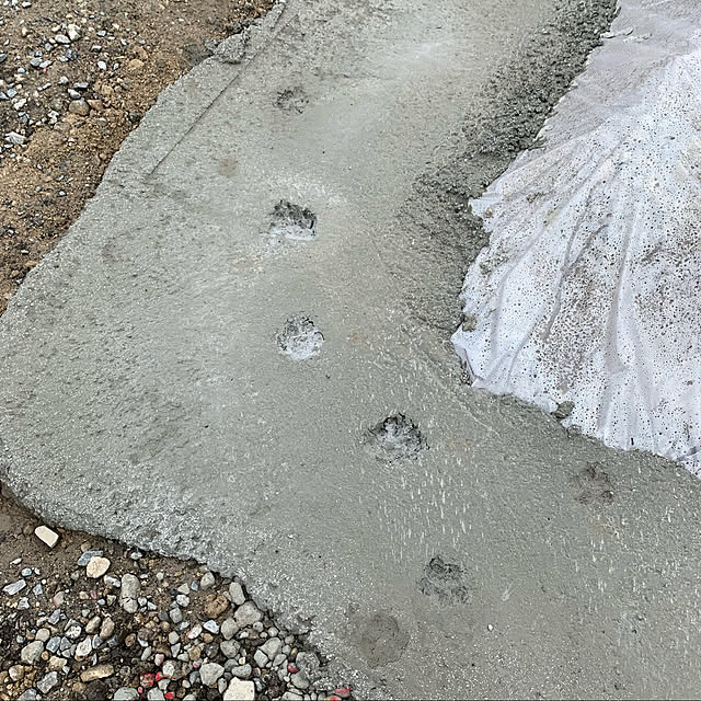 mowchanさんの実例写真
