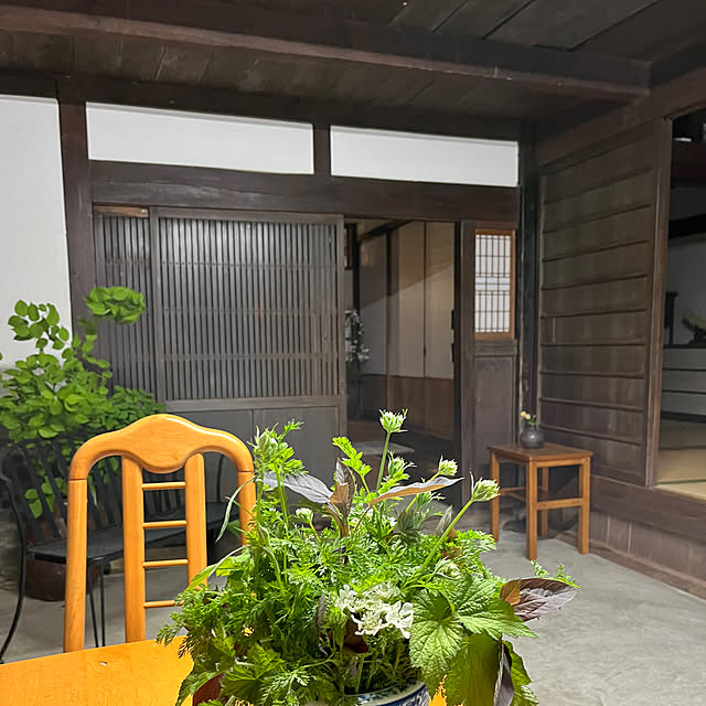 cota2さんの部屋