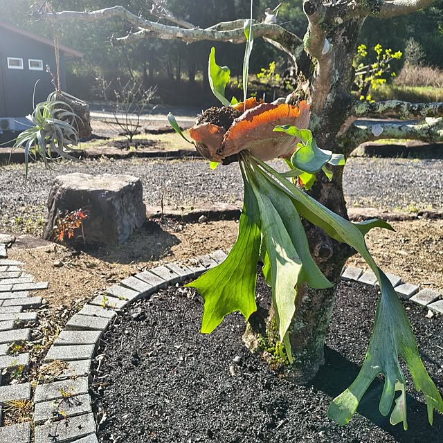 Rubiconさんの部屋