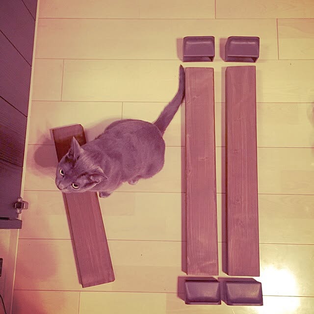 MISATOさんの実例写真