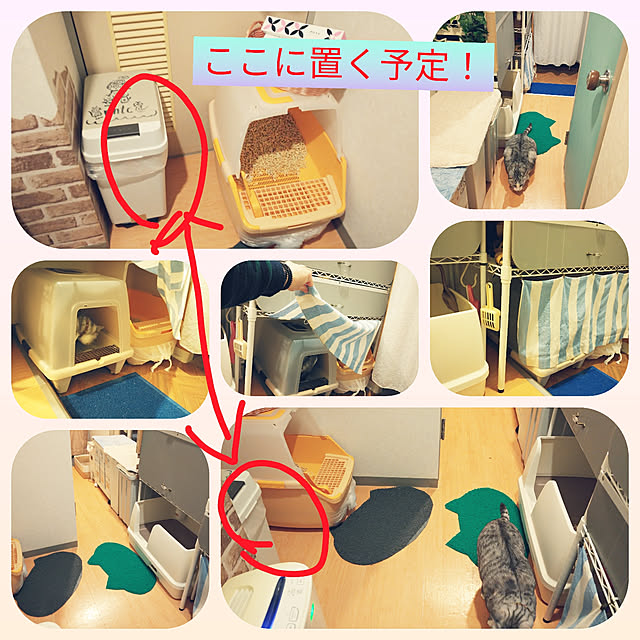 今ならクリア消臭お試しセットプレゼント!/猫 トイレ ネコ 今ならクリア消臭お試しセットプレゼント!/猫 トイレ ネコ