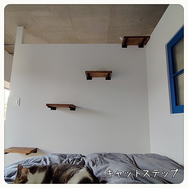 tammyさんの実例写真