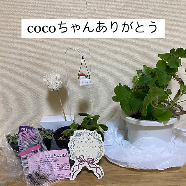 YuuKoさんの実例写真