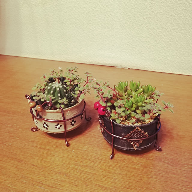 misoraさんの実例写真