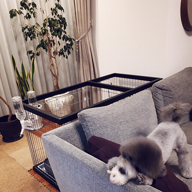 matthewさんの実例写真