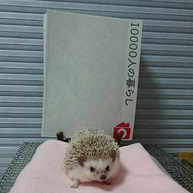 Reikomさんの実例写真