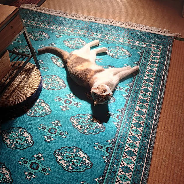 fukuさんの実例写真