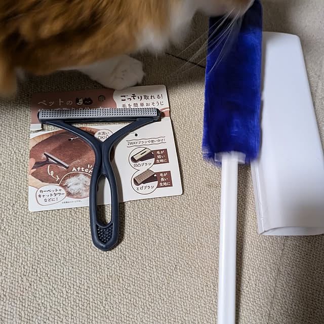mori_6_12さんの実例写真