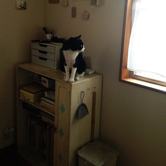 utataneさんの実例写真