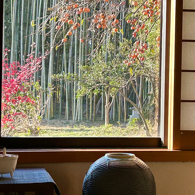 koha_hahahaさんの実例写真