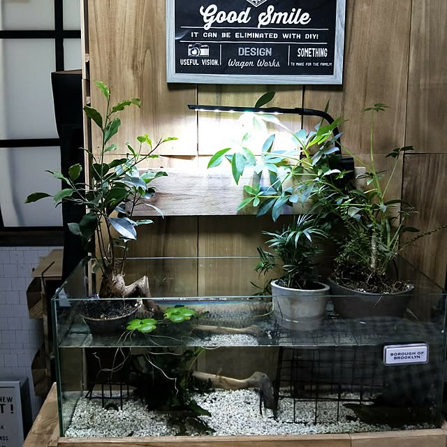 opiopiopiさんの実例写真