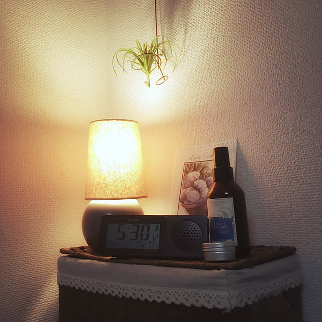 nepenthesさんの実例写真