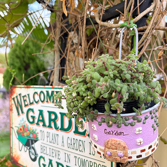 bu-bu-chanさんの部屋