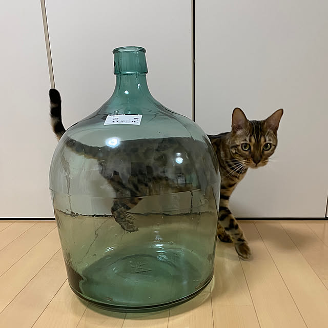 jamさんの部屋