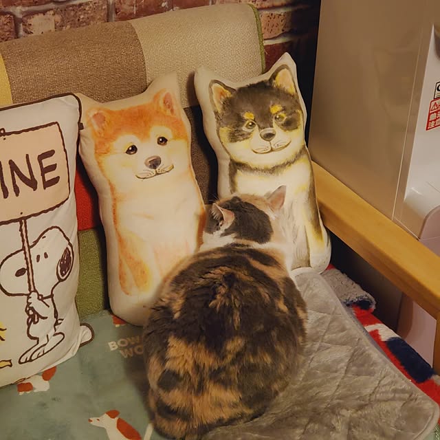 kumutanさんの実例写真