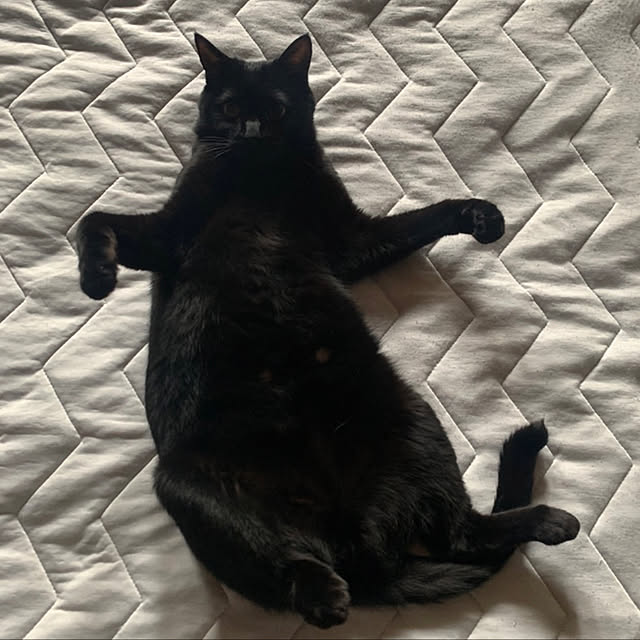 hiroさんの実例写真